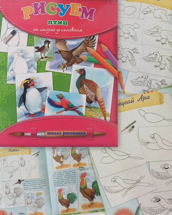 6P90g_GdkATOaHnsmTFRsYgd99Xb3RV29bSjNifs0P64wNwPzsOB9o6HzxVJGHBDV43U8F7H4-2sLUegC3lSP0aD (1)