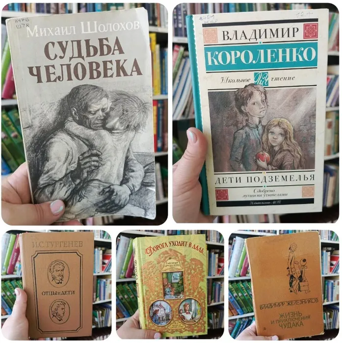 Скриншот 23-10-2024 135349